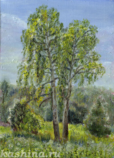 "Birches" painting by Evgeniya Kashina