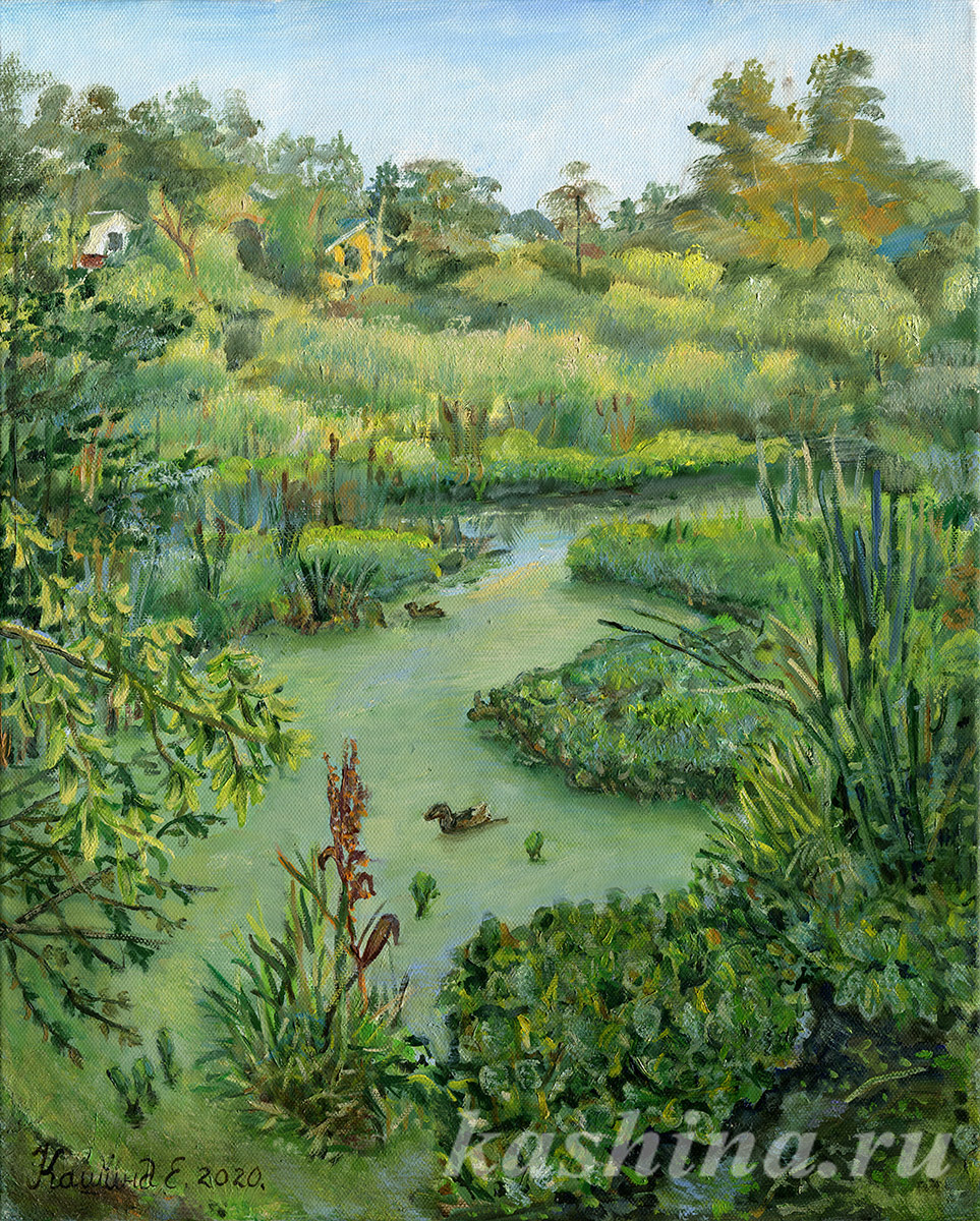 "Water lilies. Overgrown pond," painting by Evgeniya Kashina