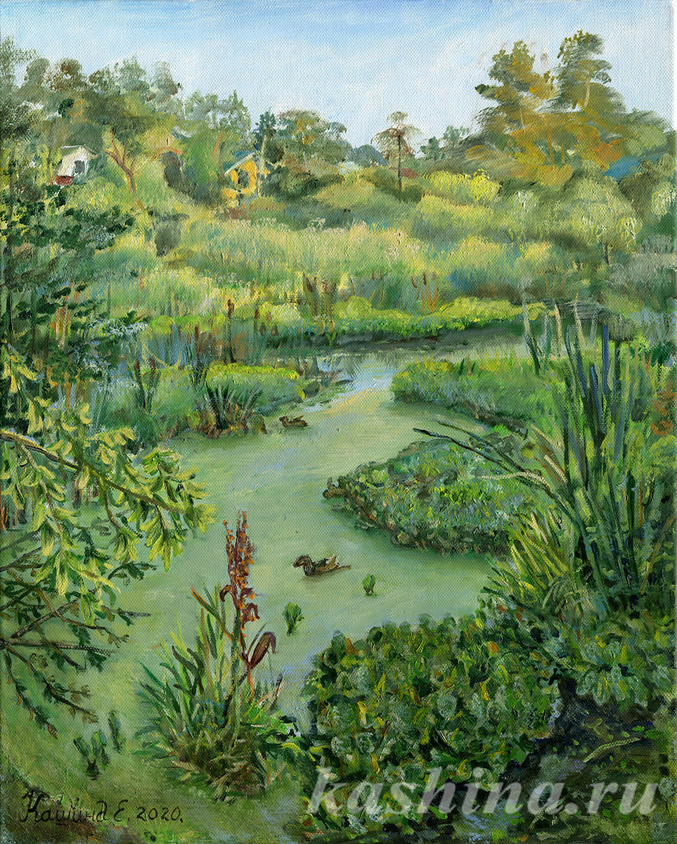 "Water lilies. Overgrown pond," painting by Evgeniya Kashina "Water lilies. Overgrown pond," painting by Evgeniya Kashina