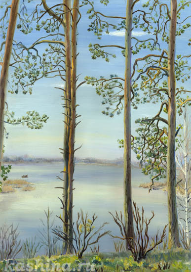 Pines at May morning, Evgeniya Kashina
