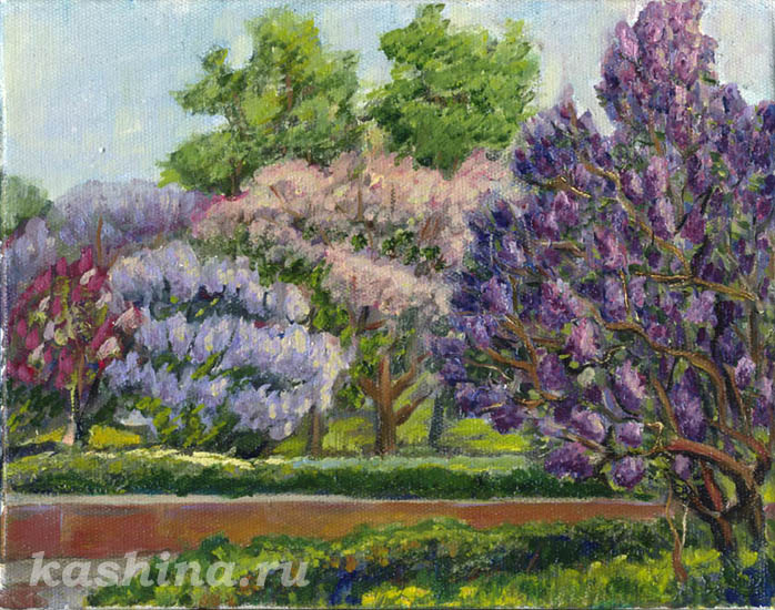 Lilacs on Kaluzhskaya Square, by Evgeniya Kashina