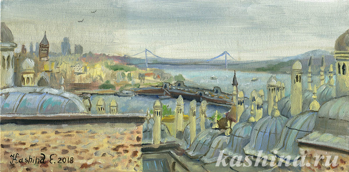 "Panorama of Istanbul. View from Suleymaniye Mosque" Painting by Evgeniya Kashina