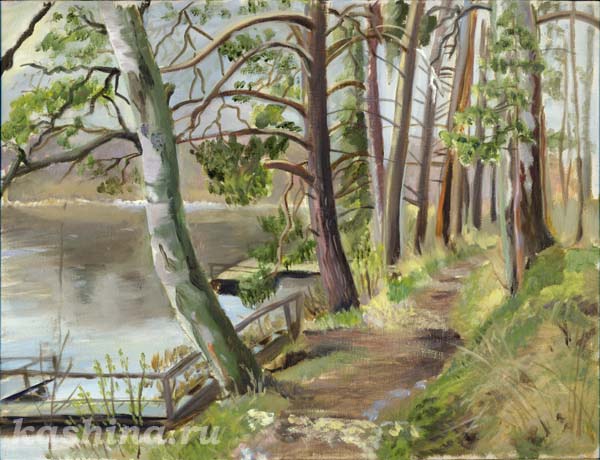 Sunny Path, Evgeniya Kashina