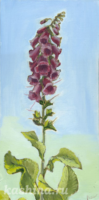 "The Foxglove" painting by Evgeniya Kashina