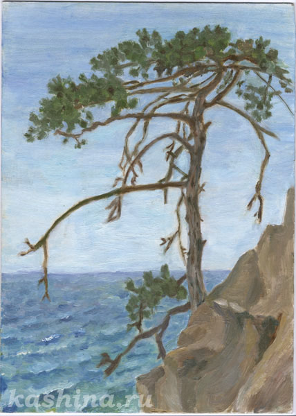 "Crimean Pine: the Four elements" Painting by Evgeniya Kashina "Crimean Pine: the Four elements" Painting by Evgeniya Kashina